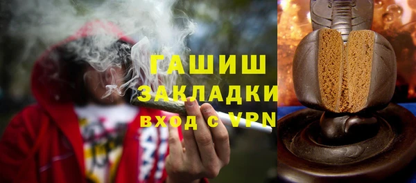 стаф Ельня