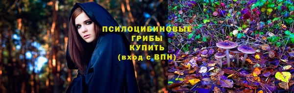 СК Арсеньев